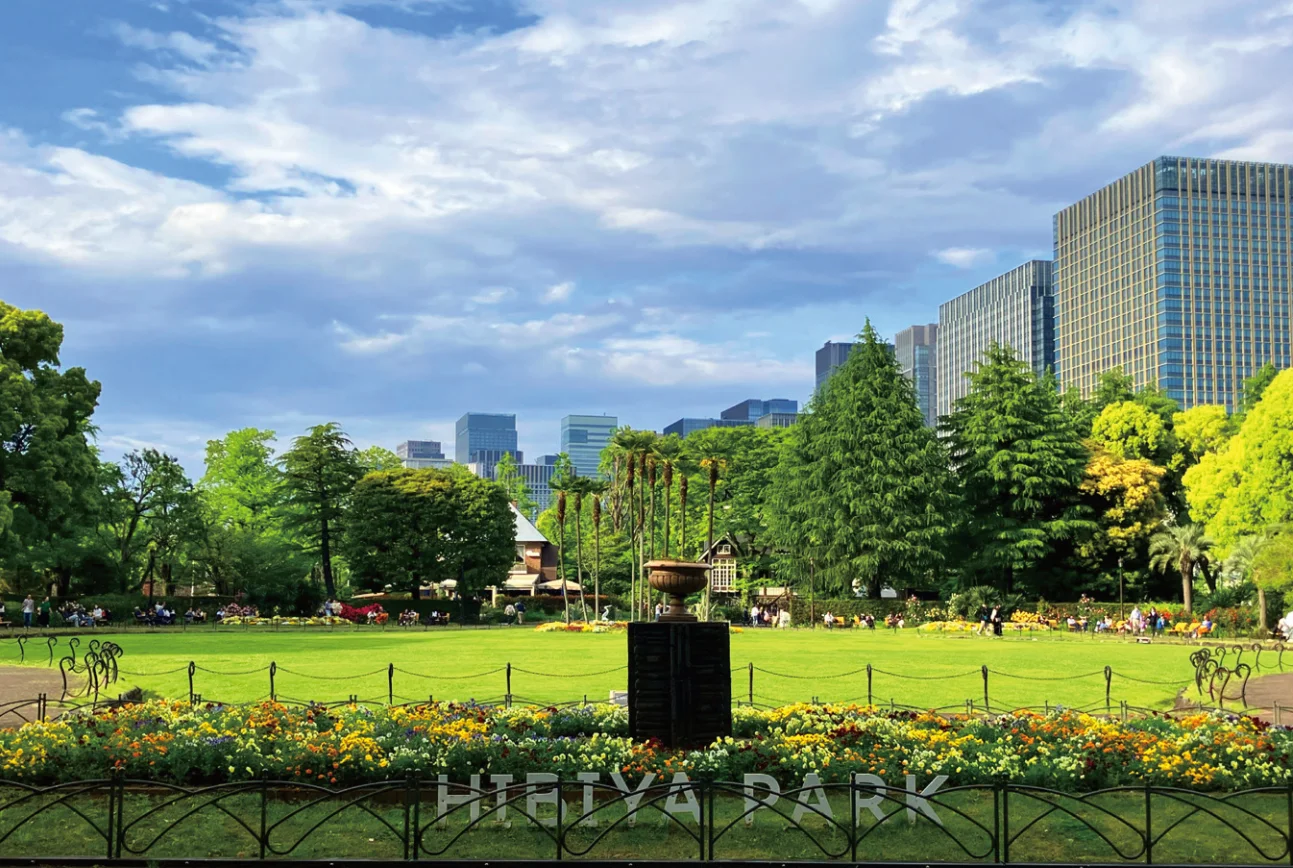 日比谷公園から見た都心の景色